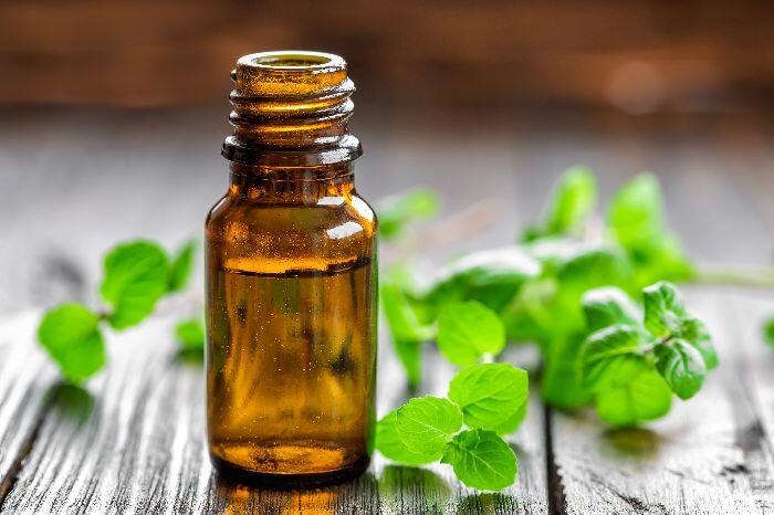 Avocado & peppermint hair food – MERE'S hair growth oil